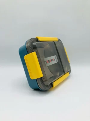 Tedemei Stainless Stell Lunch Box, Good Capacity 2 Compartments, Plastic Leak-Proof Food Container