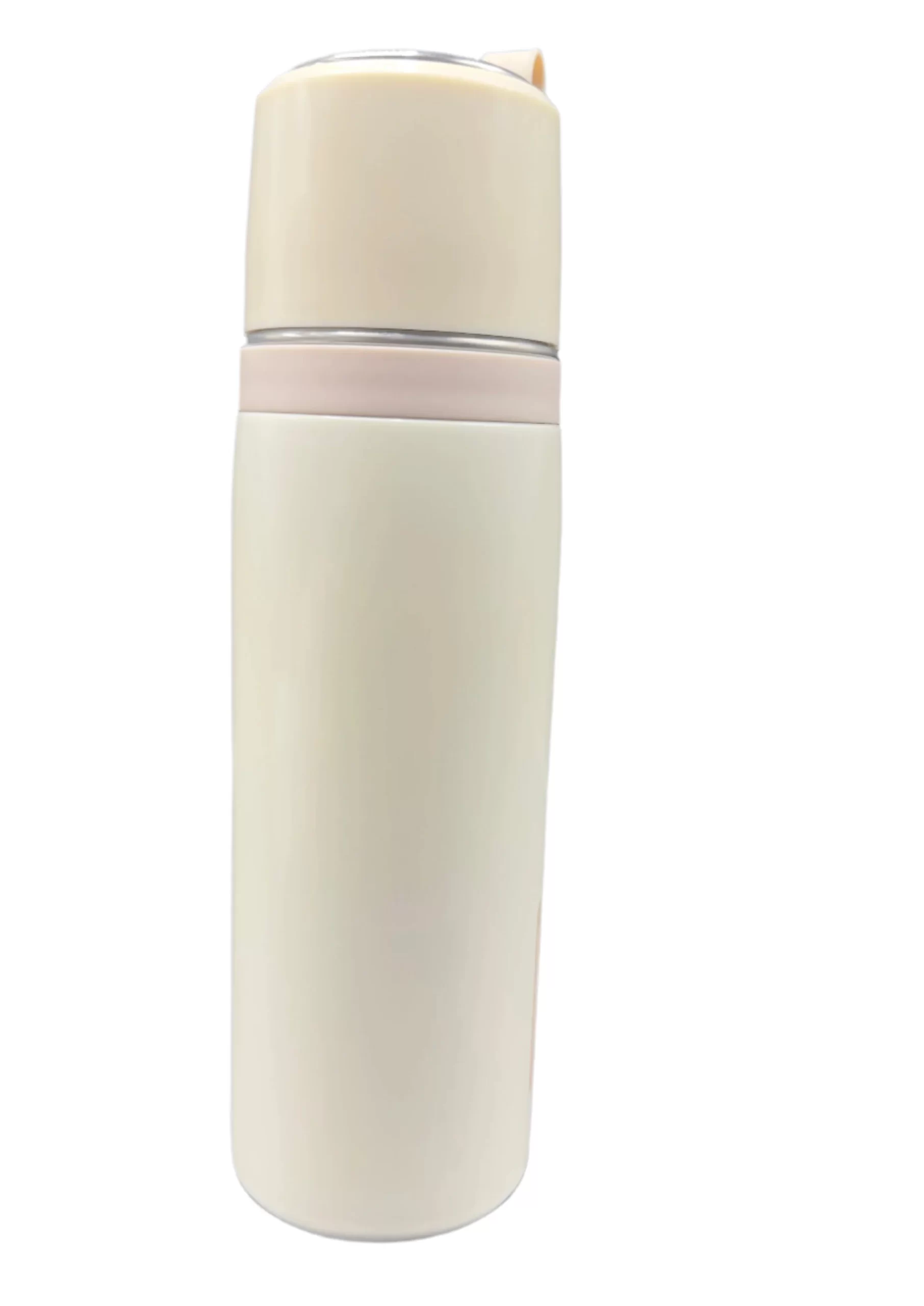 Simple Stainless Steel Water Bottle